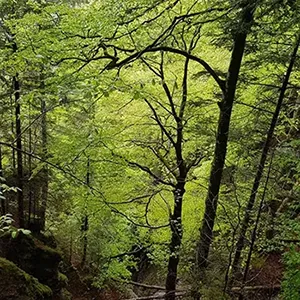 Anxiety Counselling at Skills4LifePsychology in Ormiston, Redlands, QLD